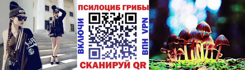 Купить где  Усолье  Псилоцибиновые грибы Psilocybine cubensis 
